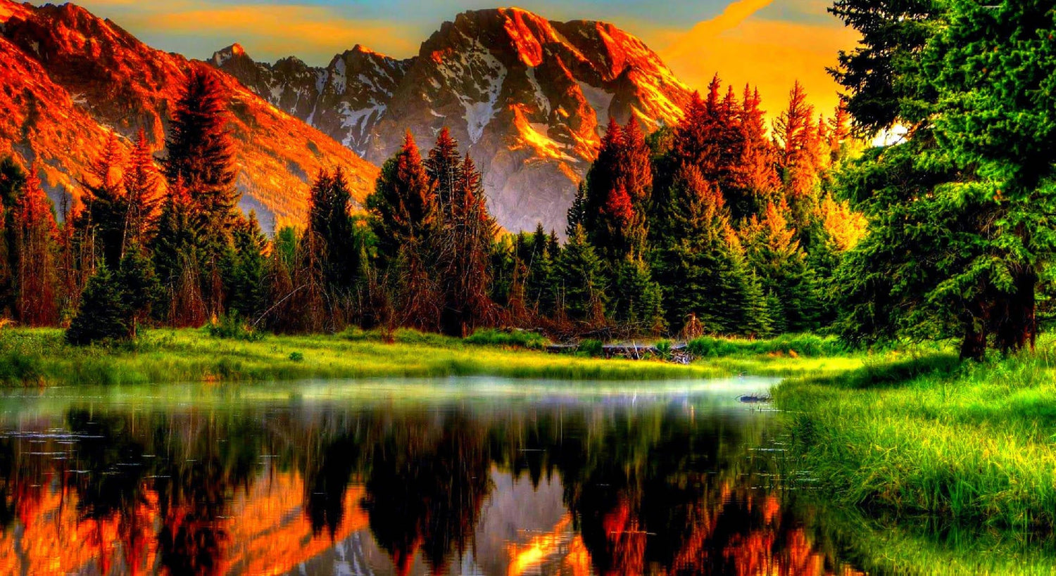 🌿 Explora nuestra colección inspirada en la naturaleza